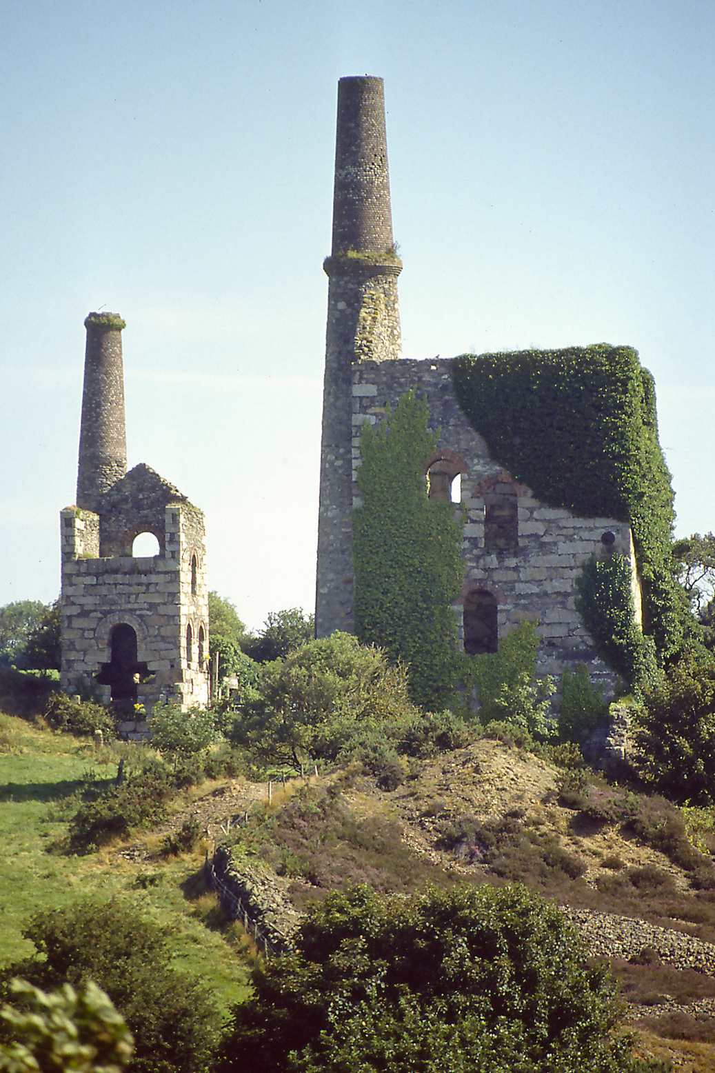 Unity Wood, Chacewater Aug 91